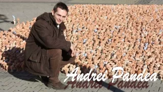 andrei pandea