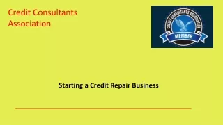 Starting a Credit Repair Business