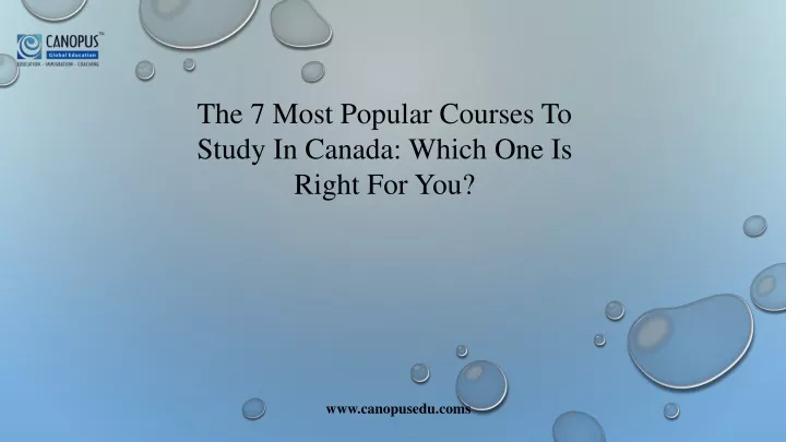 the 7 most popular courses to study in canada