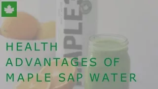 Health Advantages of Maple Sap Water