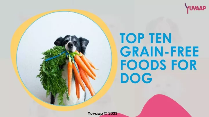 top ten grain free foods for dog