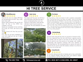 Hi Tree Service | Tree Removal, Concord