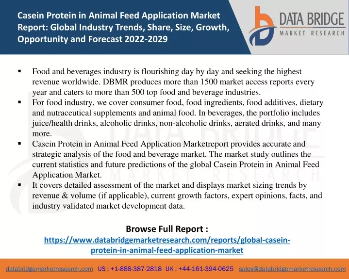 casein protein in animal feed application market