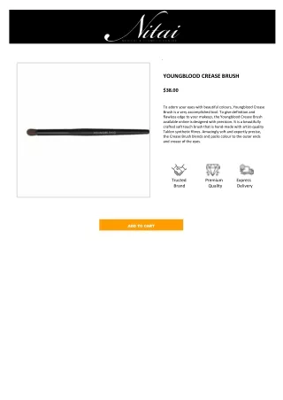 Youngblood Crease Brush | Buy Youngblood Crease Brush Online - Nitai Medical & C