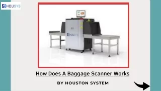 What do baggage scanners see