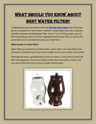 What Should You Know About Best Water Filter?