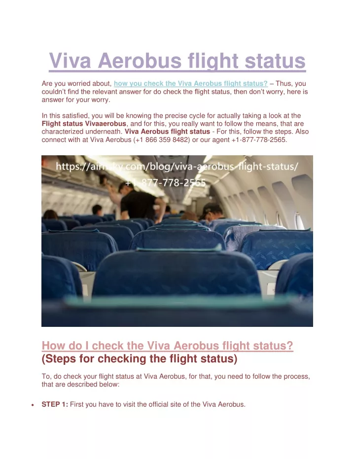 viva aerobus flight status