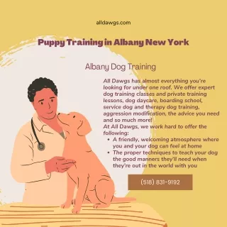 Puppy Training in Albany New York