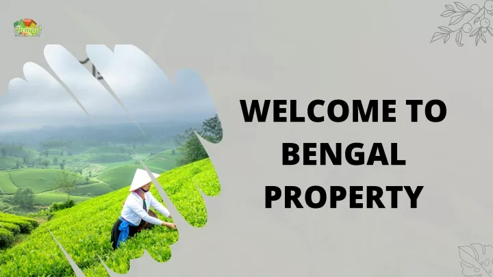 welcome to bengal property