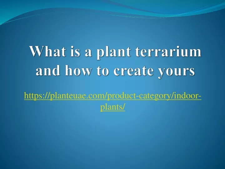 what is a plant terrarium and how to create yours