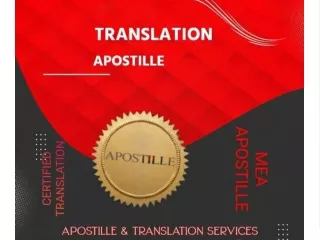 Translation, Apostille And Attestation For Visa Immigration- CTS