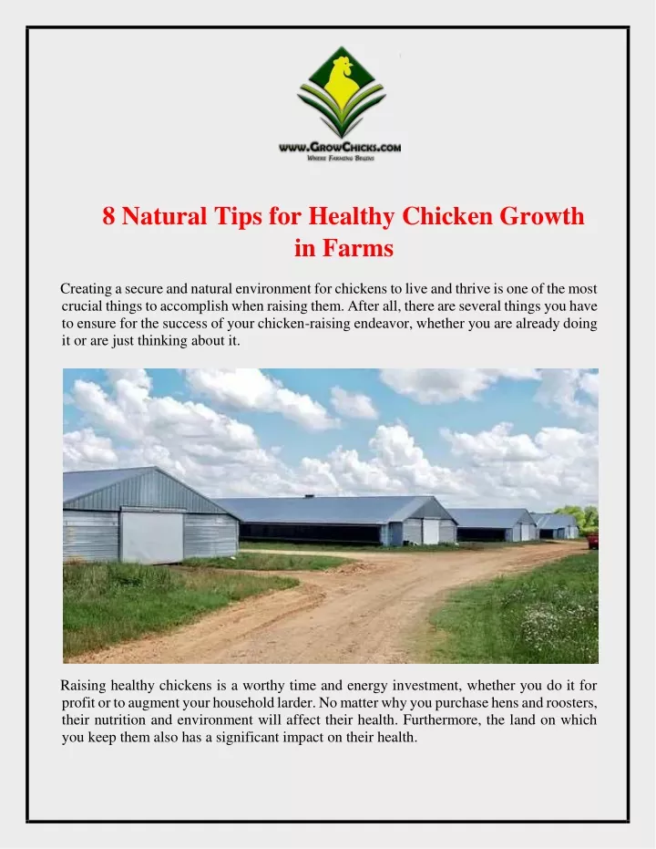 8 natural tips for healthy chicken growth in farms