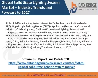 Global Solid State Lighting System Market share and trends