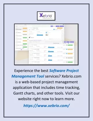 experience the best software project management