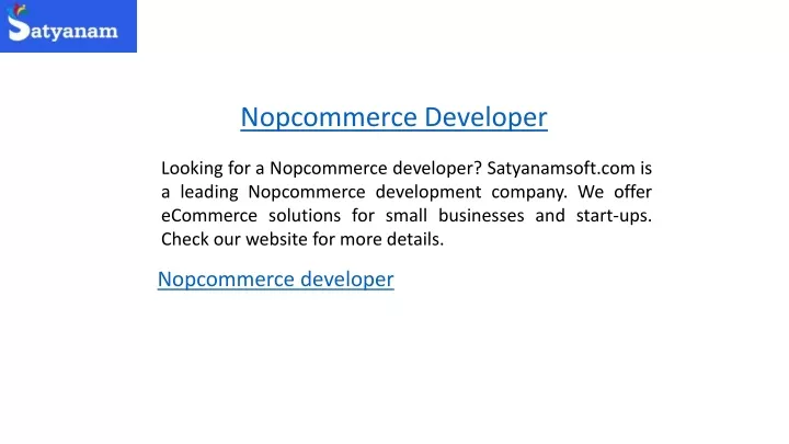 nopcommerce developer