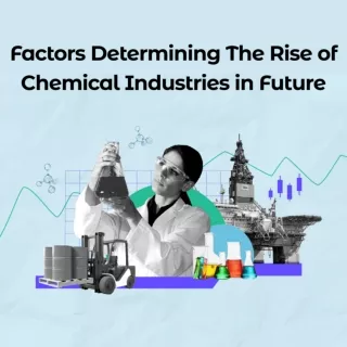 Kaushik Palicha - Factors Determining The Rise of Chemical Industries in Future