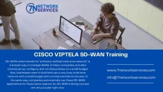 CISCO VIPTELA SD-WAN Training