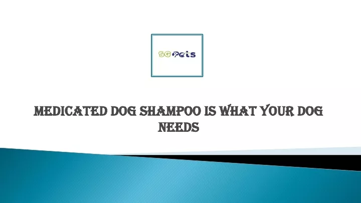 medicated dog shampoo is what your dog needs