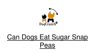 Can Dogs Eat Sugar Snap Peas