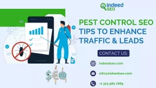 pest control seo tips to enhance traffic leads