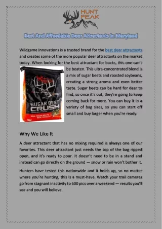 Best And Affordable Deer Attractants In Maryland
