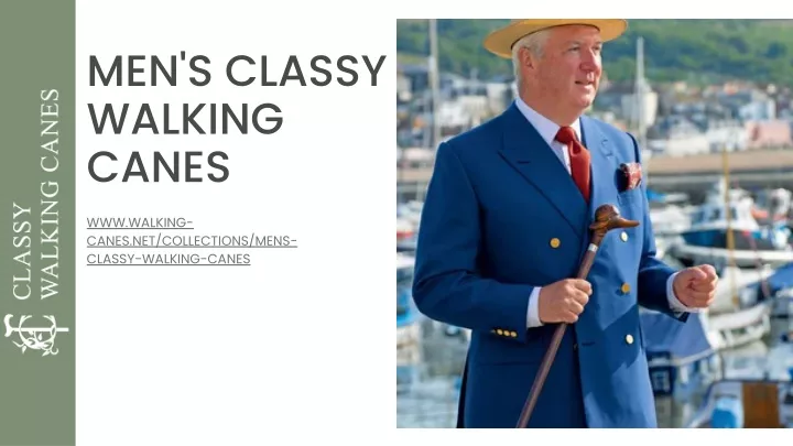 men s classy walking canes