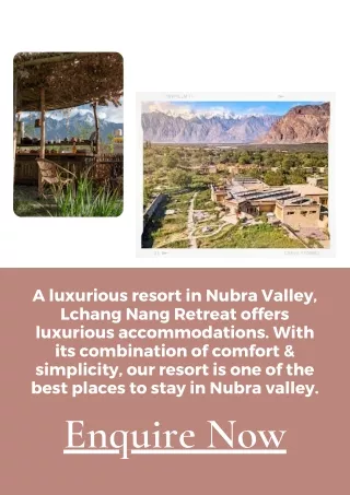 Resorts in Ladakh- Lchang Nang Retreat- The House of Trees