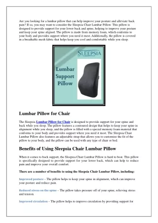 Sleepsia Chair Lumbar Pillow For Your Spine and Back Comfort