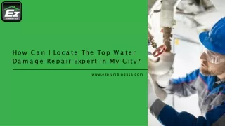 How can I locate the top Water Damage Repair expert in my city