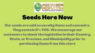 Seeds Here Now