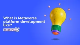 What is Metaverse platform development like?