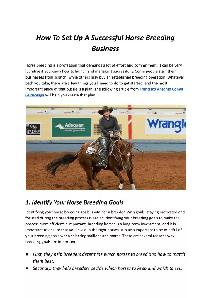 how to set up a successful horse breeding business