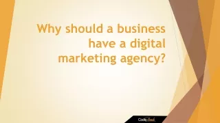 Why should a business have a digital marketing agency