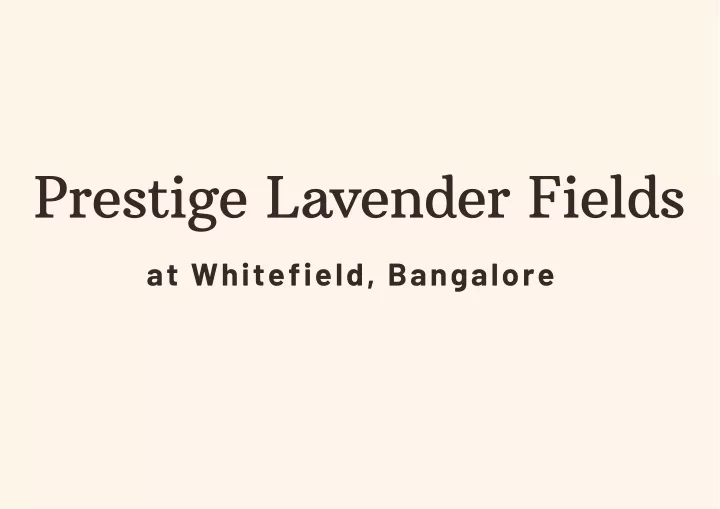 prestige lavender fields