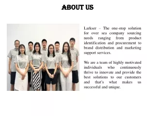 Premier China Procurement Services - Larkser