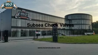 Subsea Check Valves | Maverick Valves BV