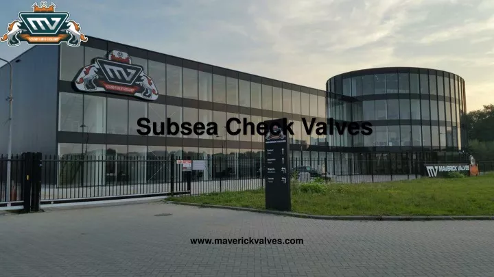 subsea check valves