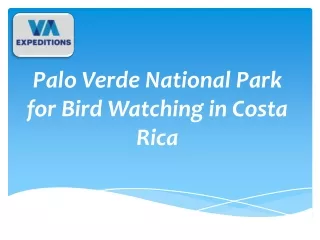 Palo Verde National Park for Bird Watching in Costa Rica