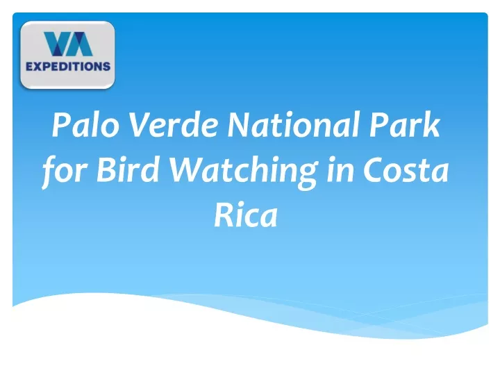 palo verde national park for bird watching in costa rica