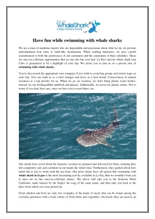 Have fun while swimming with whale sharks