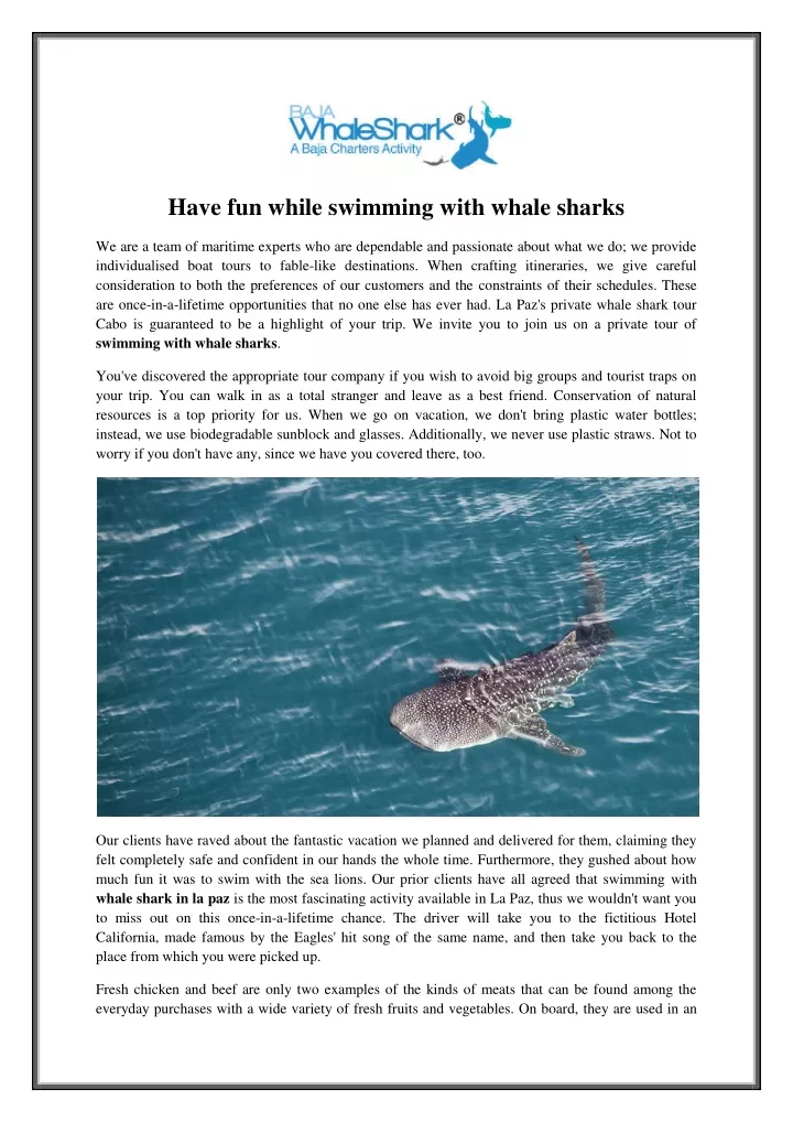 have fun while swimming with whale sharks