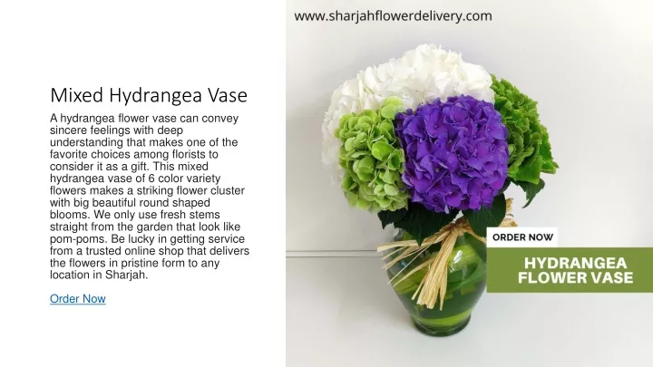 mixed hydrangea vase