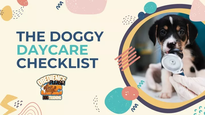 the doggy daycare checklist
