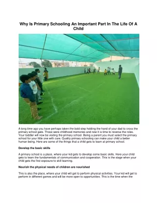 why is primary schooling an important part