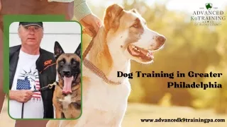 dog training in greater philadelphia