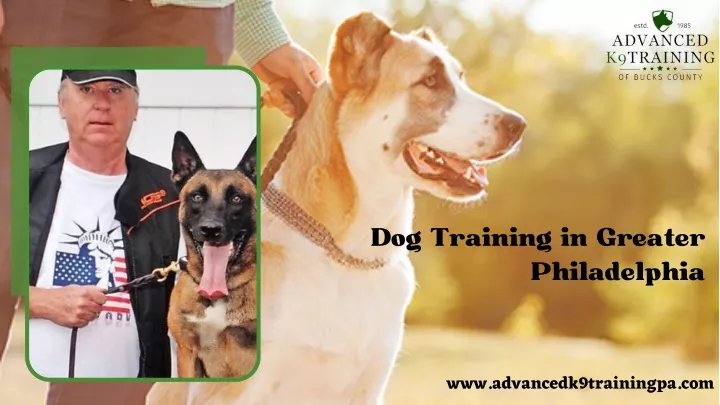 dog training in greater philadelphia