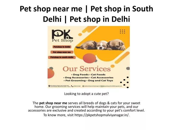 pet shop near me pet shop in south delhi pet shop in delhi