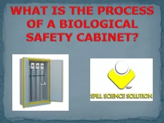 What is the process of a biological safety cabinet?