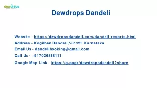 Which is the best resort to stay in Dandeli?