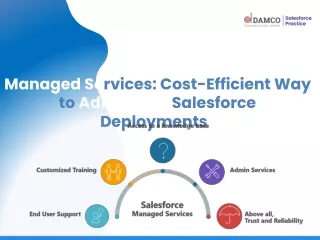 managed se rvices cost efficient way to administer salesforce deployments